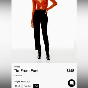 Aritzia Wilfred Tie Front Pants (Brand New)